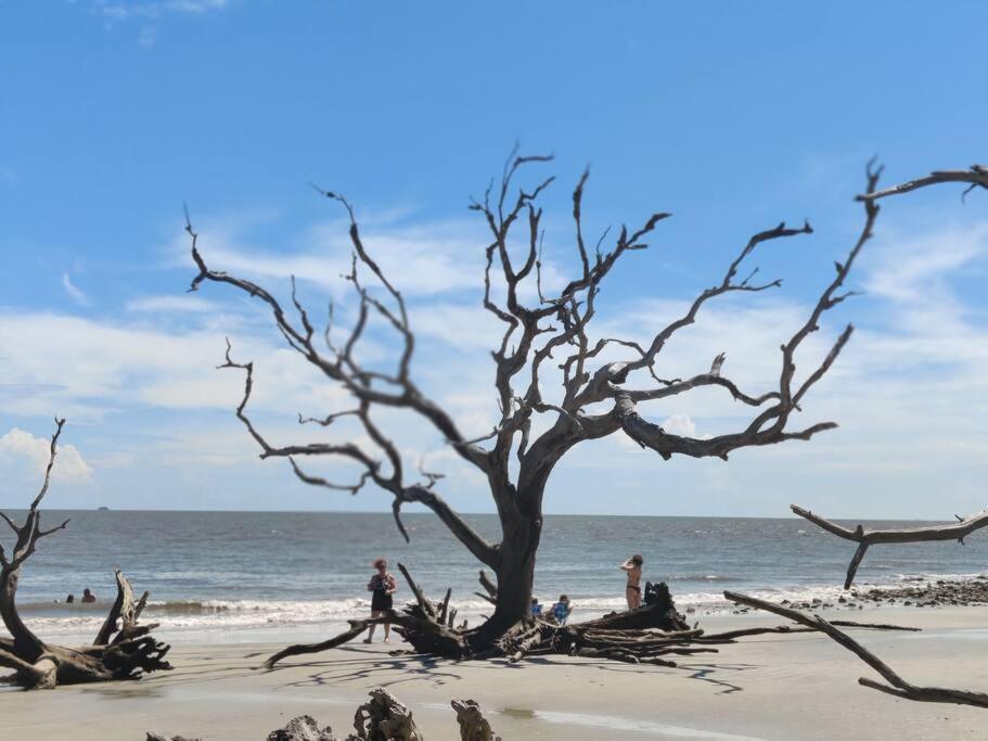 Jekyll Island House/ Kellys On The Coast /King Bed别墅 外观 照片
